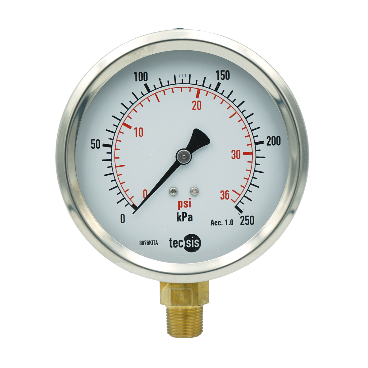 P1776 100mm Bottom-Entry Pressure Gauge: Brass Internals, 3/8" BSPT