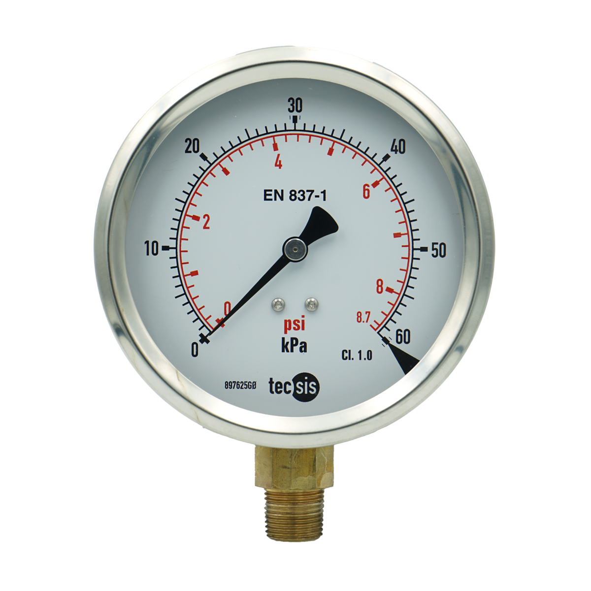 P1776 100mm Bottom-Entry Pressure Gauge: Brass Internals, 3/8" BSPT