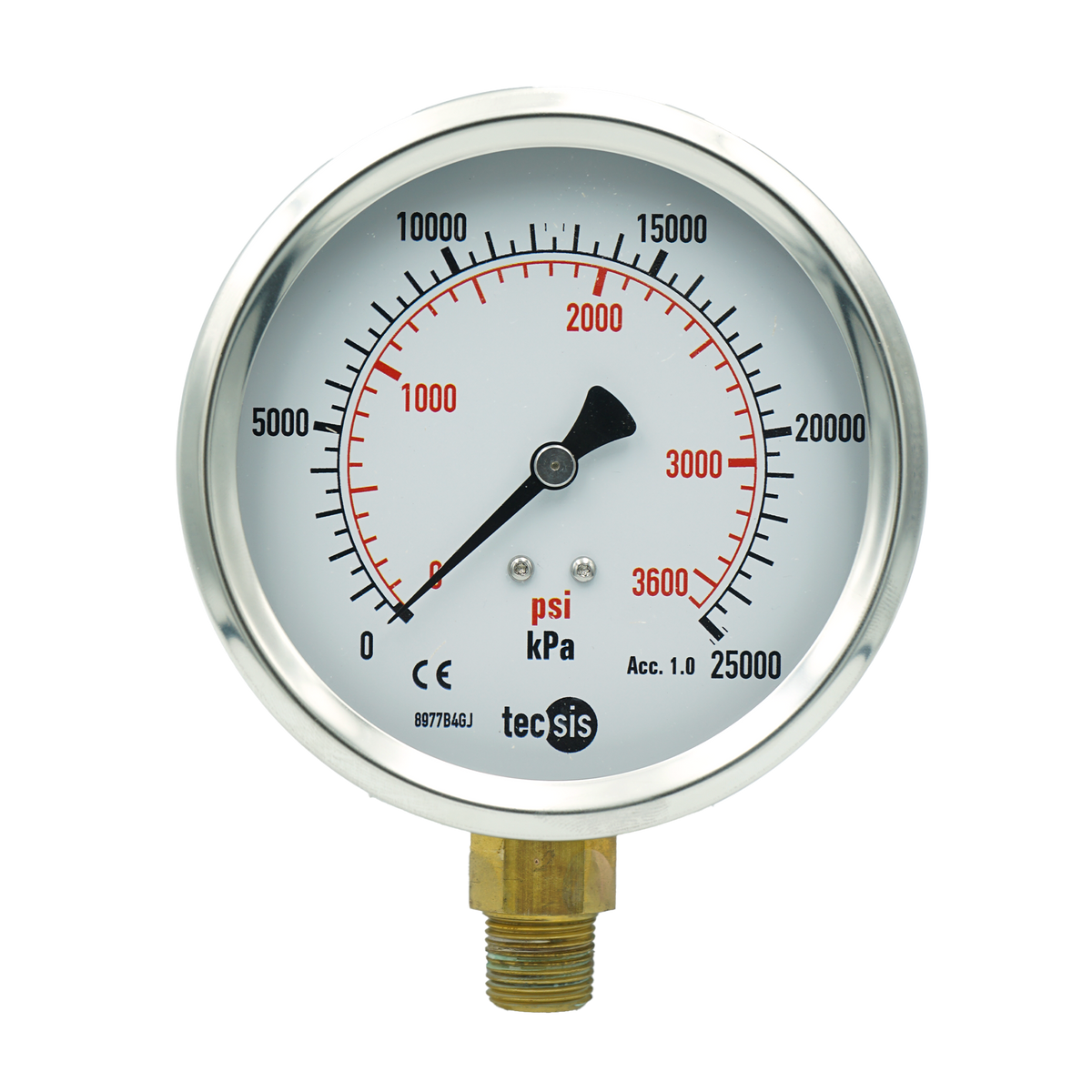 P1776 100mm Bottom-Entry Pressure Gauge: Brass Internals, 3/8" BSPT