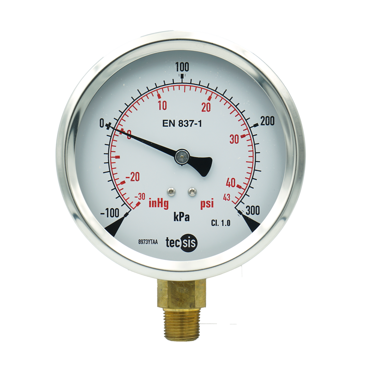 P1776 100mm Bottom-Entry Pressure Gauge: Brass Internals, 3/8" BSPT