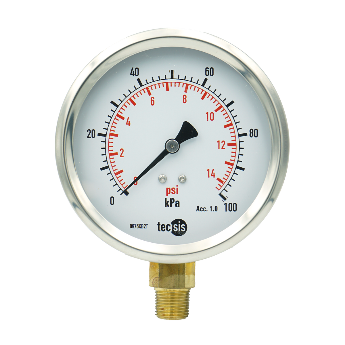 P1776 100mm Bottom-Entry Pressure Gauge: Brass Internals, 3/8" BSPT