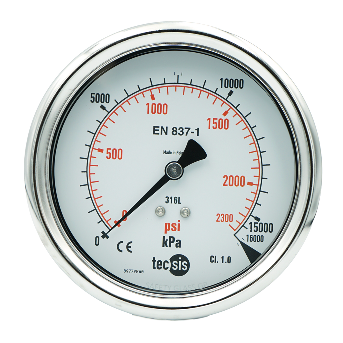 P2329 100mm Rear-Entry Pressure Gauge: All Stainless Steel, 1/2" NPT