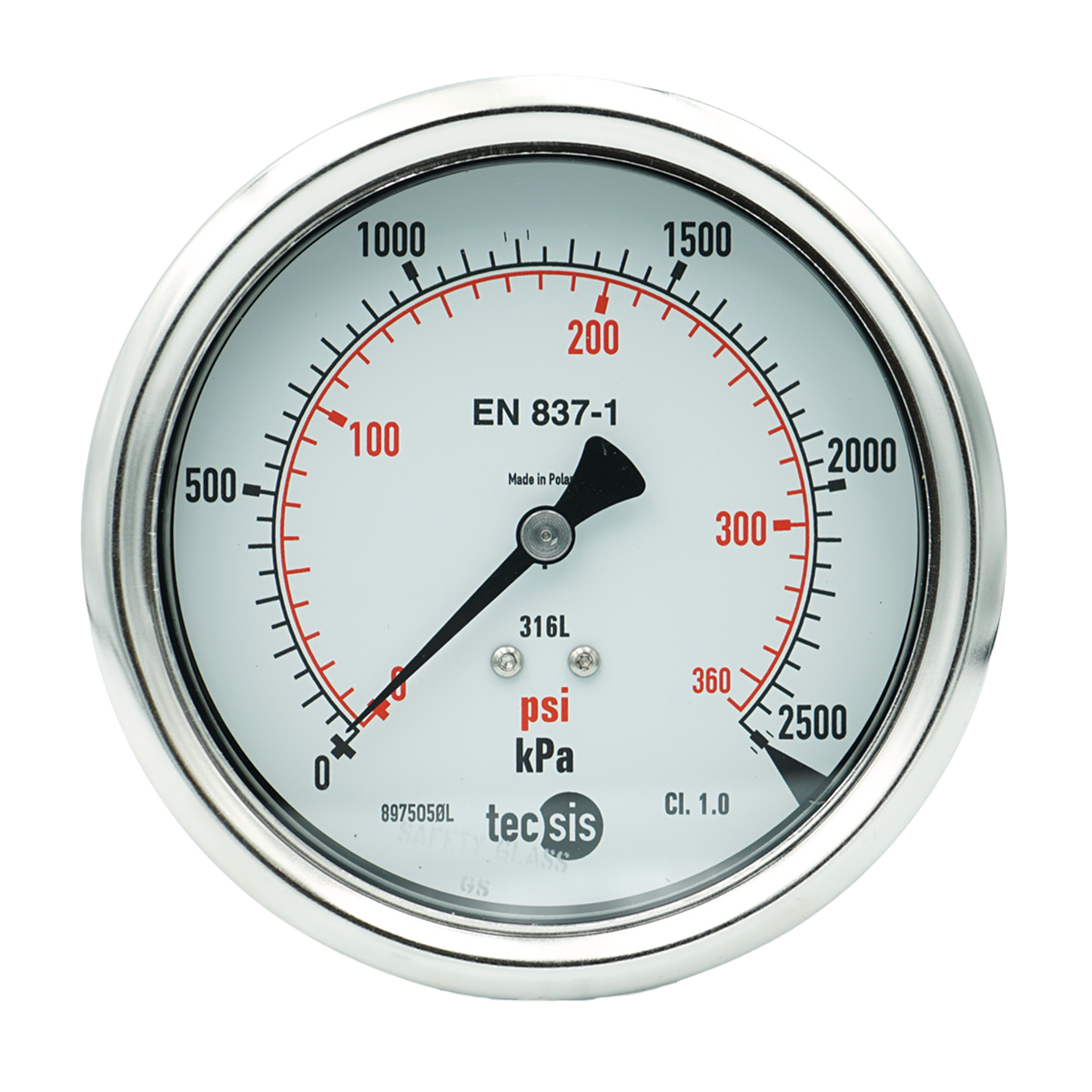 P2329 100mm Rear-Entry Pressure Gauge: All Stainless Steel, 1/2" NPT