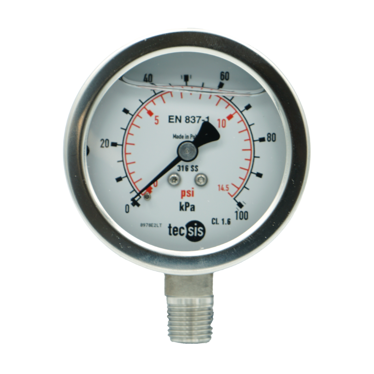 P2032 63mm Bottom-Entry Pressure Gauge: All Stainless Steel, 1/4" BSPT