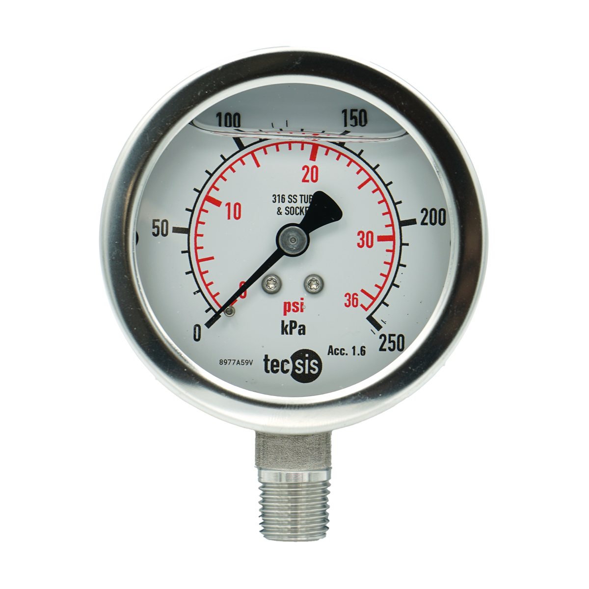 P2032 63mm Bottom-Entry Pressure Gauge: All Stainless Steel, 1/4" BSPT