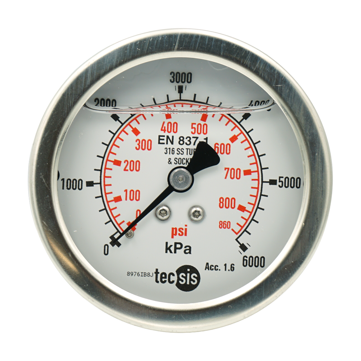 P2033 63mm Rear-Entry Pressure Gauge: All Stainless Steel, 1/4" BSPT