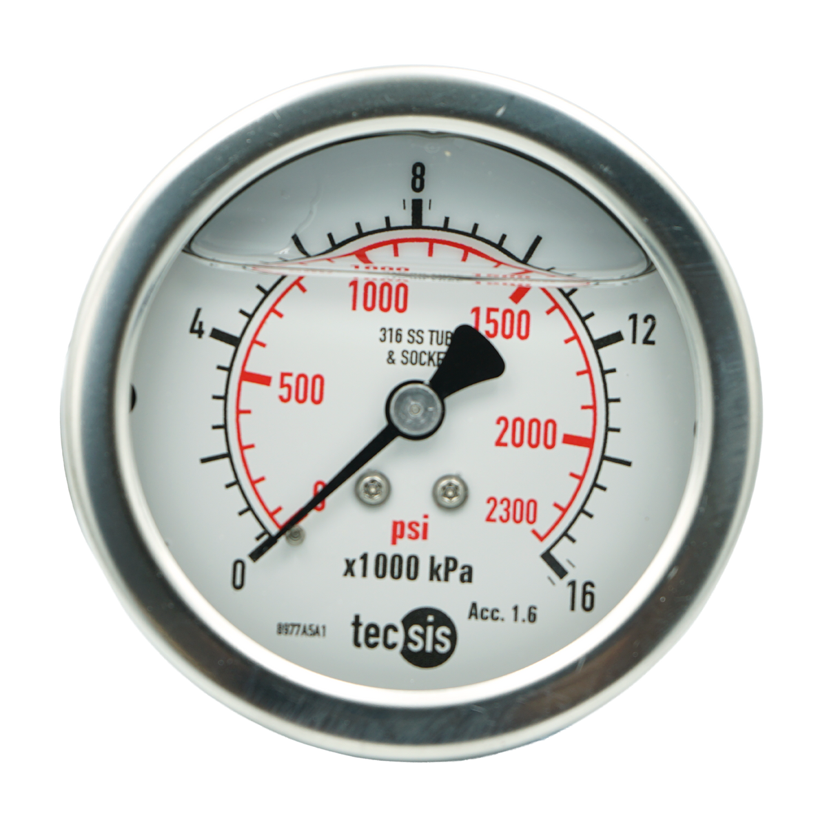 P2033 63mm Rear-Entry Pressure Gauge: All Stainless Steel, 1/4" BSPT