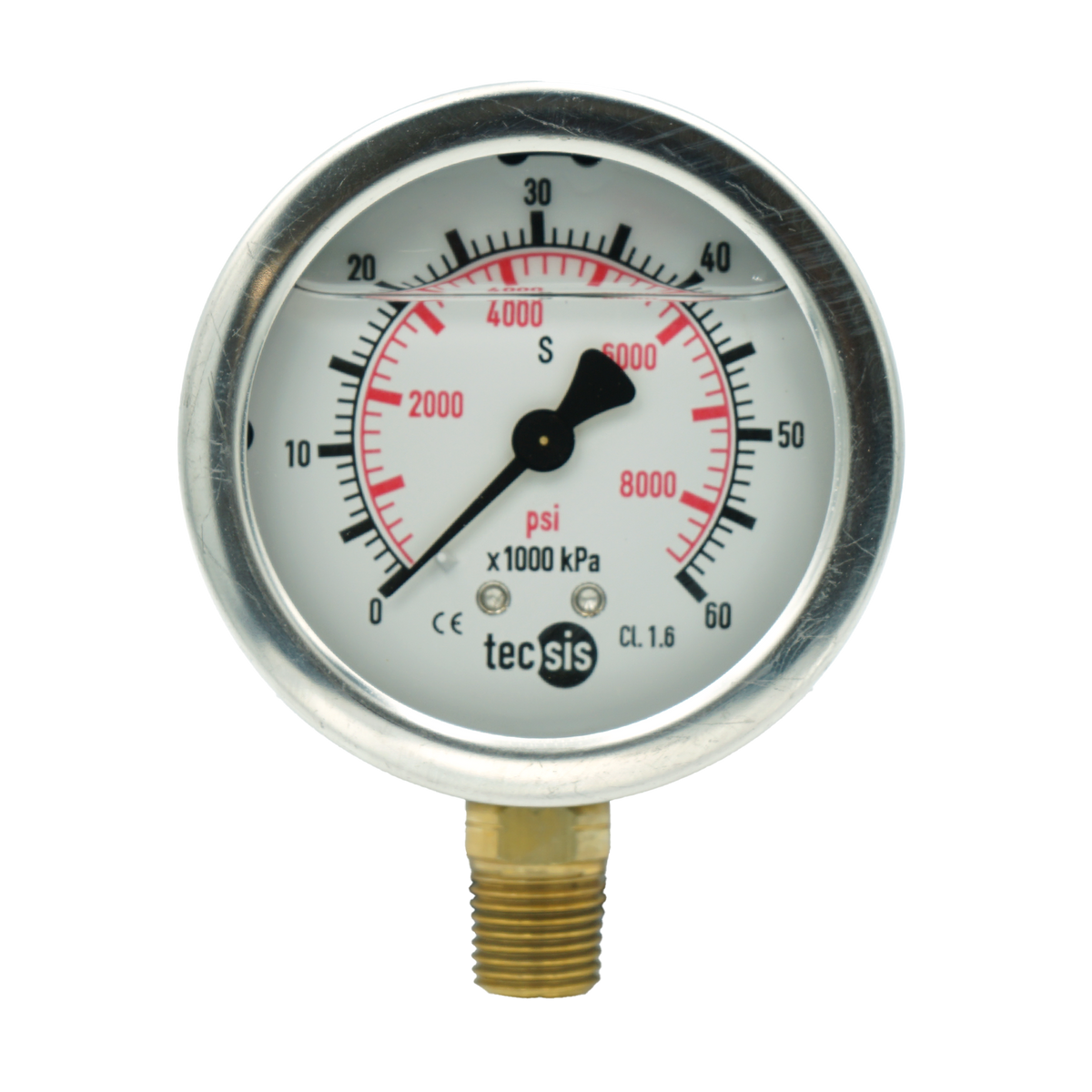 P1454 63mm Bottom-Entry Pressure Gauge: Brass Internals, 1/4" BSPT