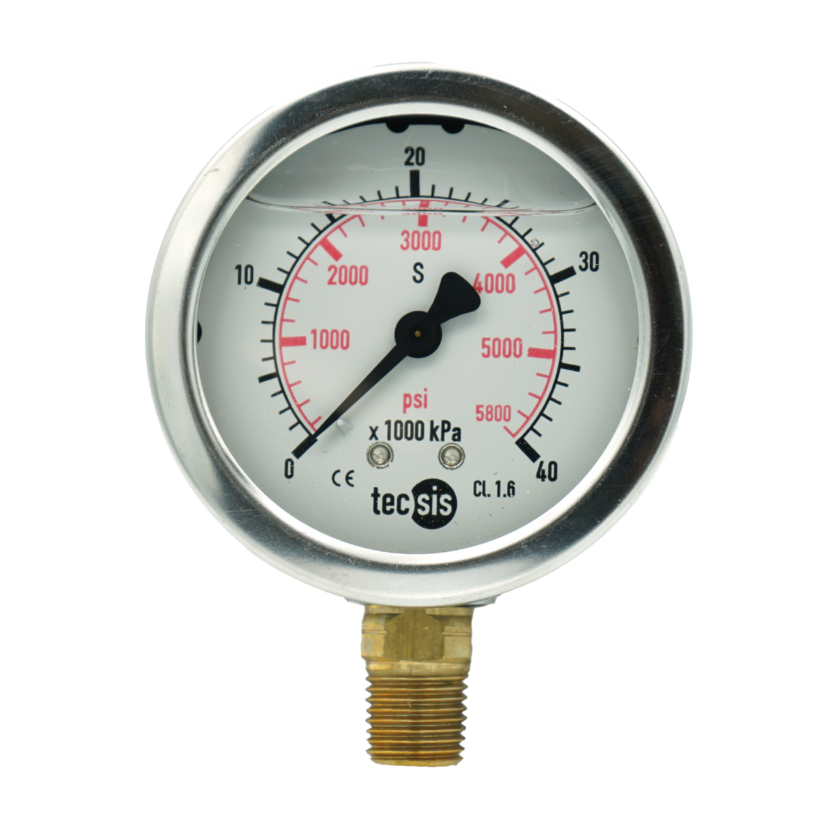 P1454 63mm Bottom-Entry Pressure Gauge: Brass Internals, 1/4" BSPT